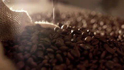 Coffee beans falling in slow motion Stock Footage 76051014