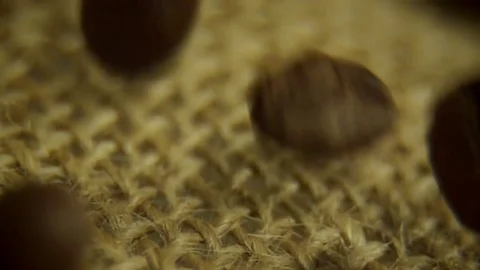 Coffee beans falling in slow motion Stock Footage 76201109