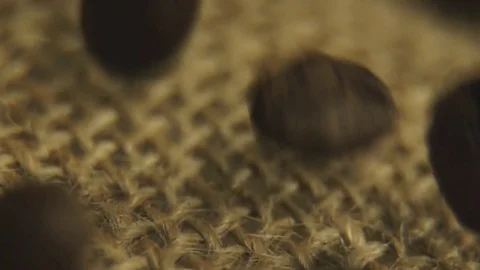 Coffee beans falling in slow motion Stock Footage 76201114