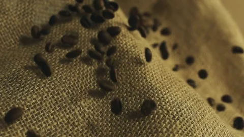 Coffee beans falling in slow motion Stock Footage 76201147
