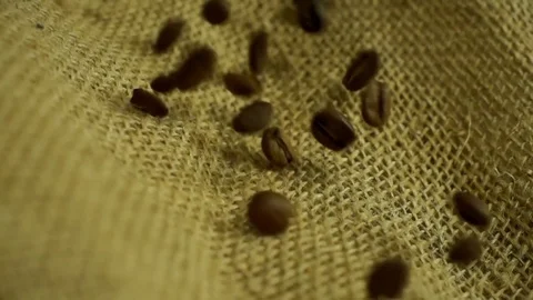 Coffee beans falling in slow motion Stock Footage 76248734