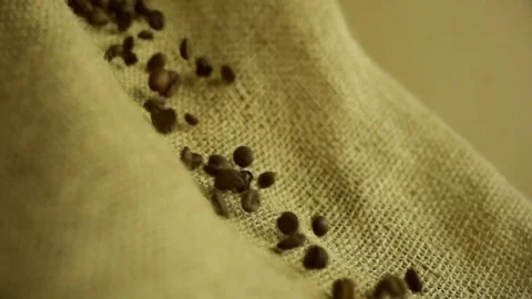 Coffee beans falling in slow motion Stock Footage 76248813
