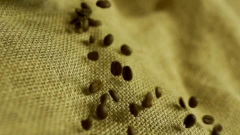 Coffee beans falling in slow motion Stock Footage 76248886