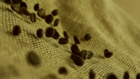 Coffee beans falling in slow motion Stock Footage 76248953
