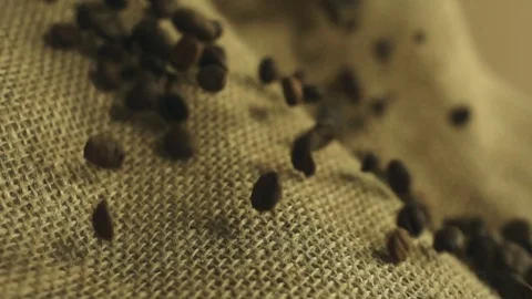 Coffee beans falling in slow motion Stock Footage 76249014