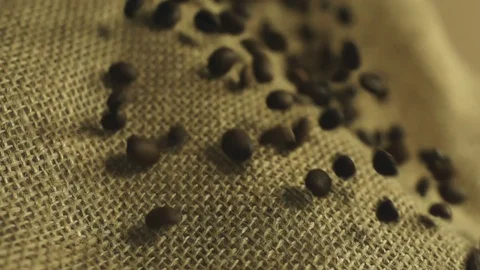 Coffee beans falling in slow motion Stock Footage 76249054
