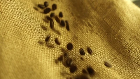 Coffee beans falling in slow motion Stock Footage 76249110
