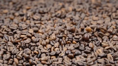 Coffee beans falling in slow motion Stock Footage 81243414