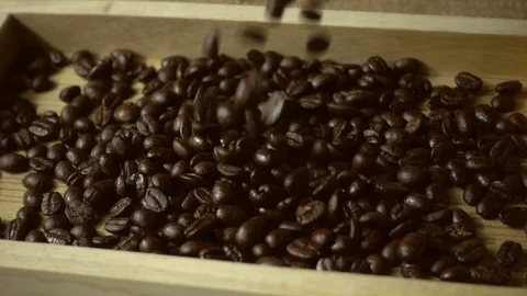 Coffee beans falling in slow motion Stock Footage 97372952