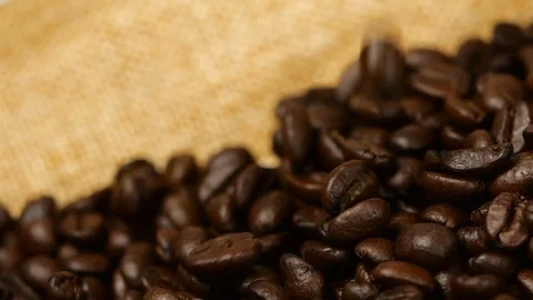 Coffee beans falling slow motion, close-up Stock Footage 113594964