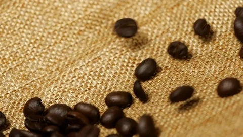 Coffee beans falling slow motion, close-up Stock Footage 113595050