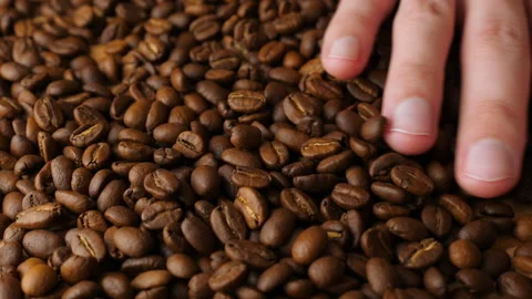 Coffee beans falling in slow motion Stockbeeldmateriaal 126709135