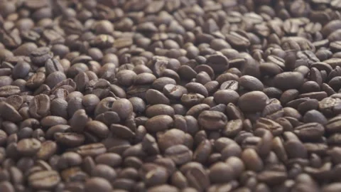 Coffee beans falling slowly Stock-Footage 151165636