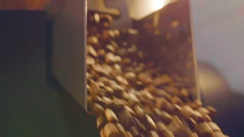 Coffee beans falling into steaming roasting machine Stock Footage 137731377
