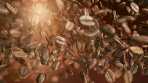 Coffee beans falling in super slow motion Stock Footage 269203800