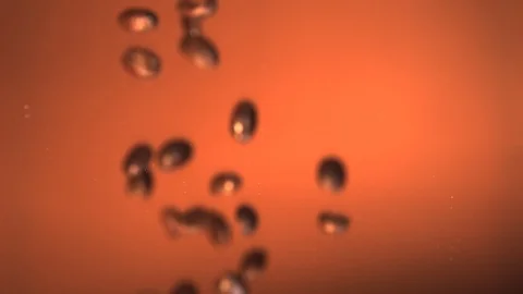 Coffee beans falling. Ultra slow motion hispeed 2000fps Stock Footage 93168023