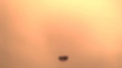 Coffee beans falling. Ultra slow motion hispeed 2000fps Video stock 93168586