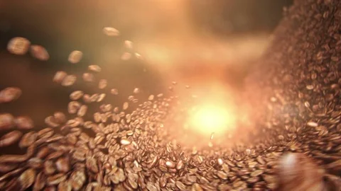 Coffee beans falling wave Stock Footage 77626599