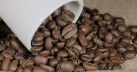Coffee beans falling from a white ceramic cup Stock Footage 232257585