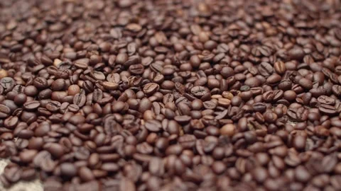Coffee beans fill the entire space. Many roasted coffee beans lie in a heap as a Stock Footage 156734087