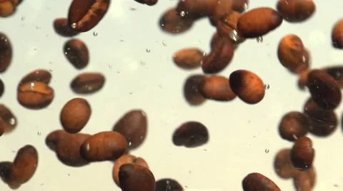Coffee beans floating in water. Video stock 55284209