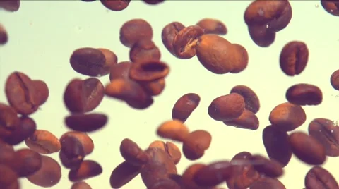 Coffee beans floating in water. Slow motion 240 fps. Stock Footage 55284211