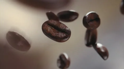 Coffee beans fly in the air Stock Footage 311278292