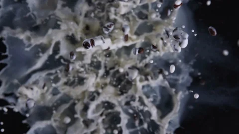 Coffee beans fly up close up Video stock 128546434