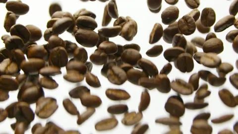 Coffee beans flying up and falling dawn on the white background slow motion Vídeo Stock 148552809