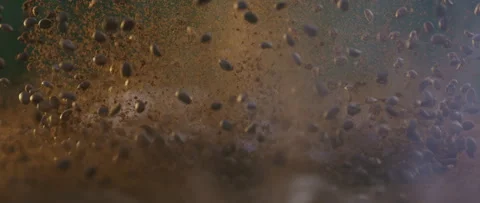 Coffee beans flying Stock-Footage 247382330