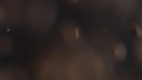 Coffee beans flying in slow motion on a black background Stock Footage 255727287