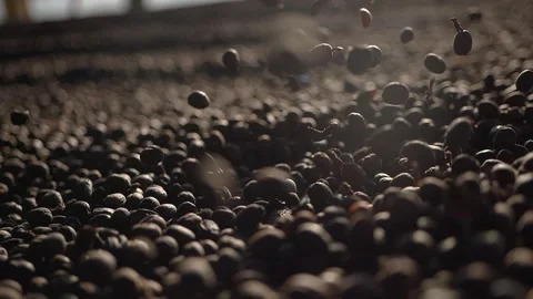 Coffee beans flying in slow motion in a coffee drying process Stock Footage 258600931