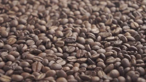 Coffee beans focus change Stock-Footage 151165563
