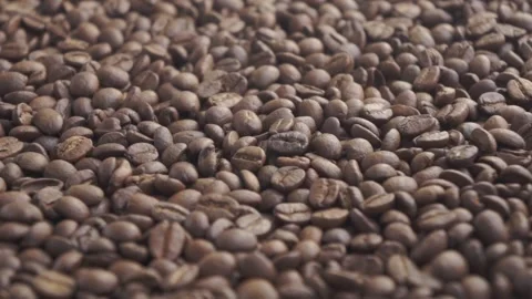 Coffee beans focus change Stock-Footage 151165571