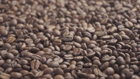 Coffee beans focus change Stock-Footage 151165579