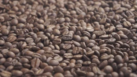 Coffee beans focus change Stock-Footage 151165597