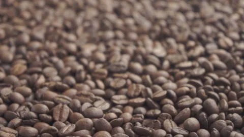 Coffee beans focus change Stock-Footage 151165612