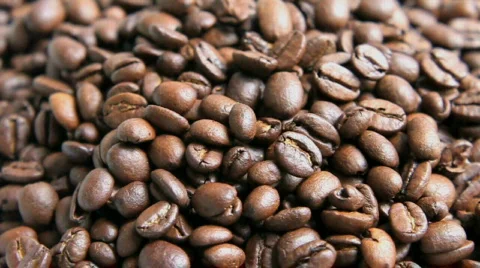 Coffee beans Stock Footage 450768