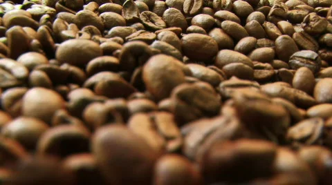 Coffee Beans 動画素材 823402