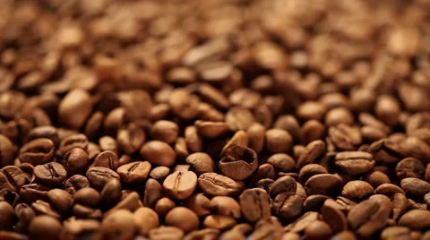 Coffee beans Stock Footage 952060