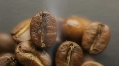 Coffee Beans Stock Footage 11049985