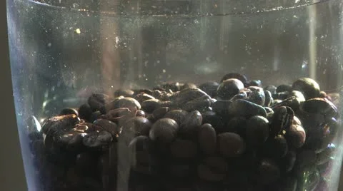 Coffee Beans Vidéo 11605392