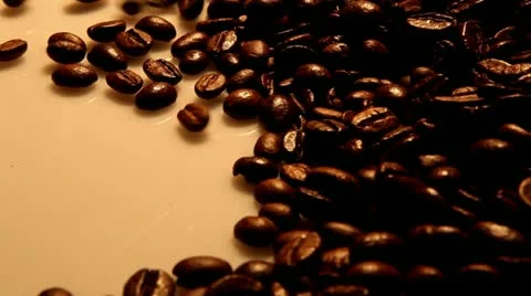 Coffee Beans Stock Footage 21250171