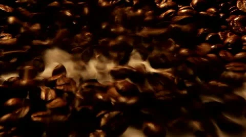 Coffee Beans Stock Footage 21250175