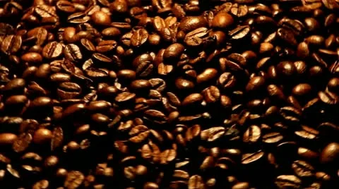 Coffee Beans Stock Footage 21261430