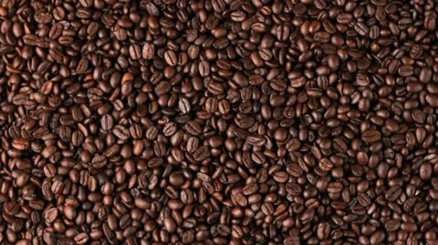 Coffee beans Stock Footage 22010506