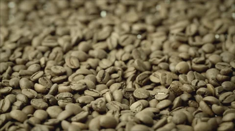 Coffee Beans Stock Footage 39373777