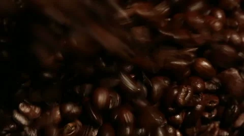 Coffee beans Stock Footage 51939935