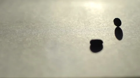 Coffee beans Stock Footage 58496255