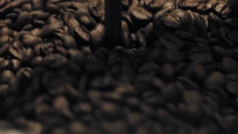 Coffee beans Stock Footage 73290544